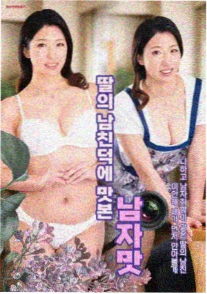 热播剧集 同层住户 标本封面